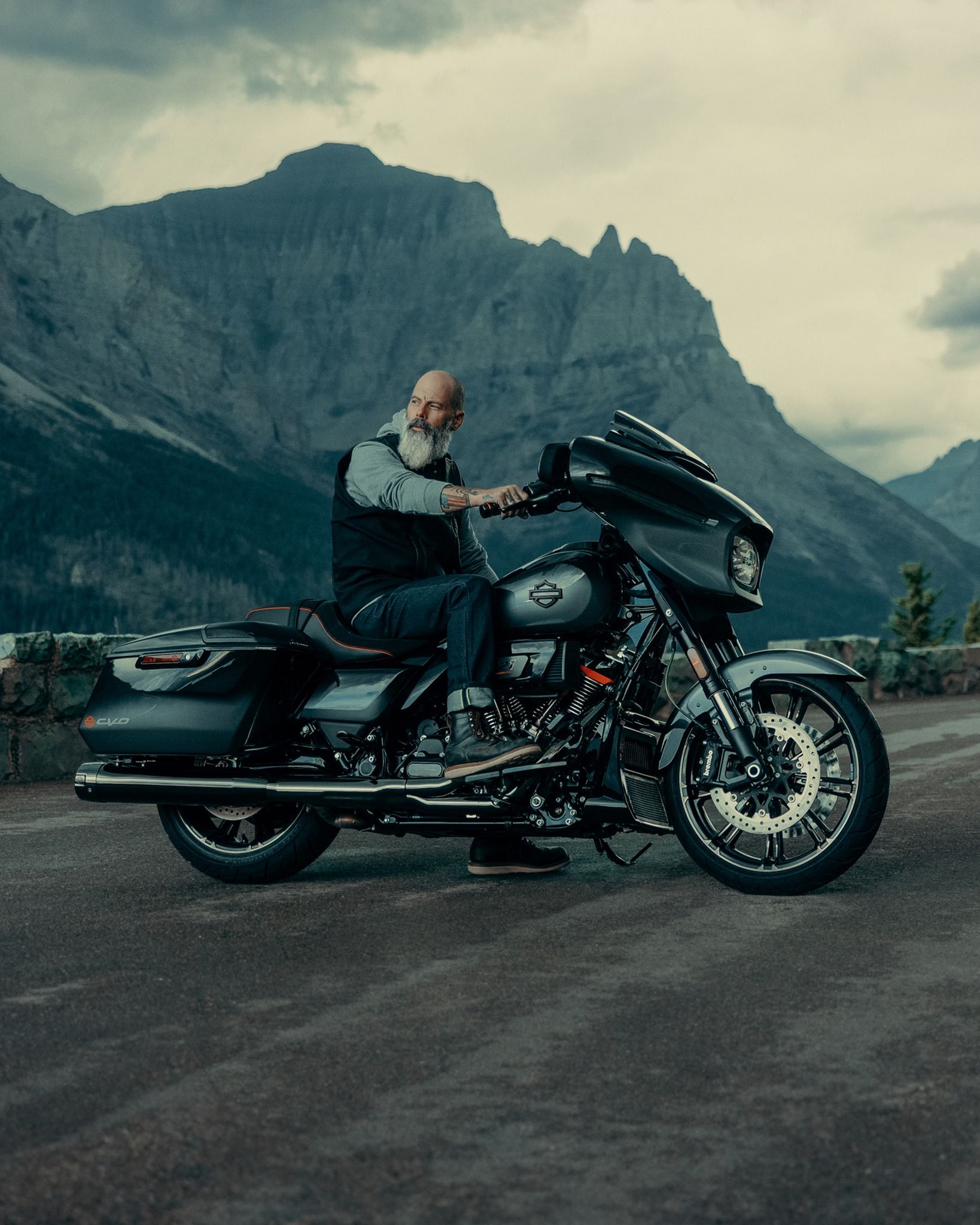 Harley Davidson Biker