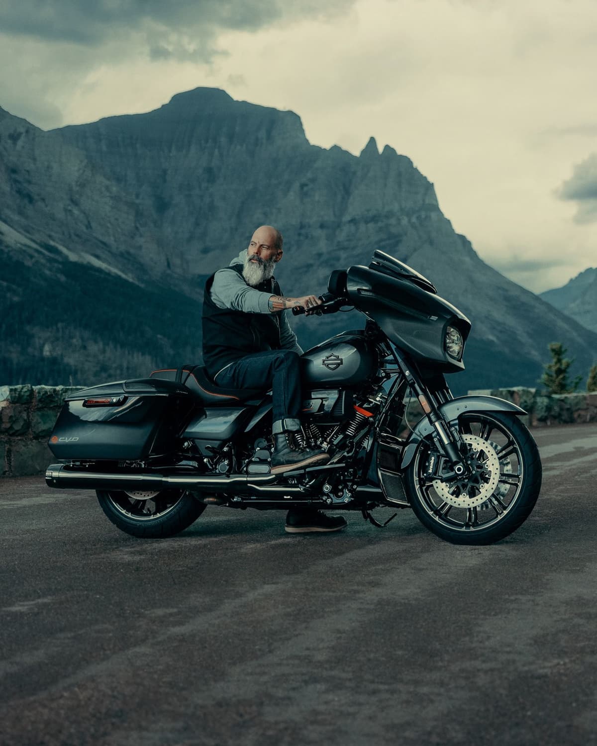 Harley Davidson Biker