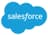 Salesforce Partner