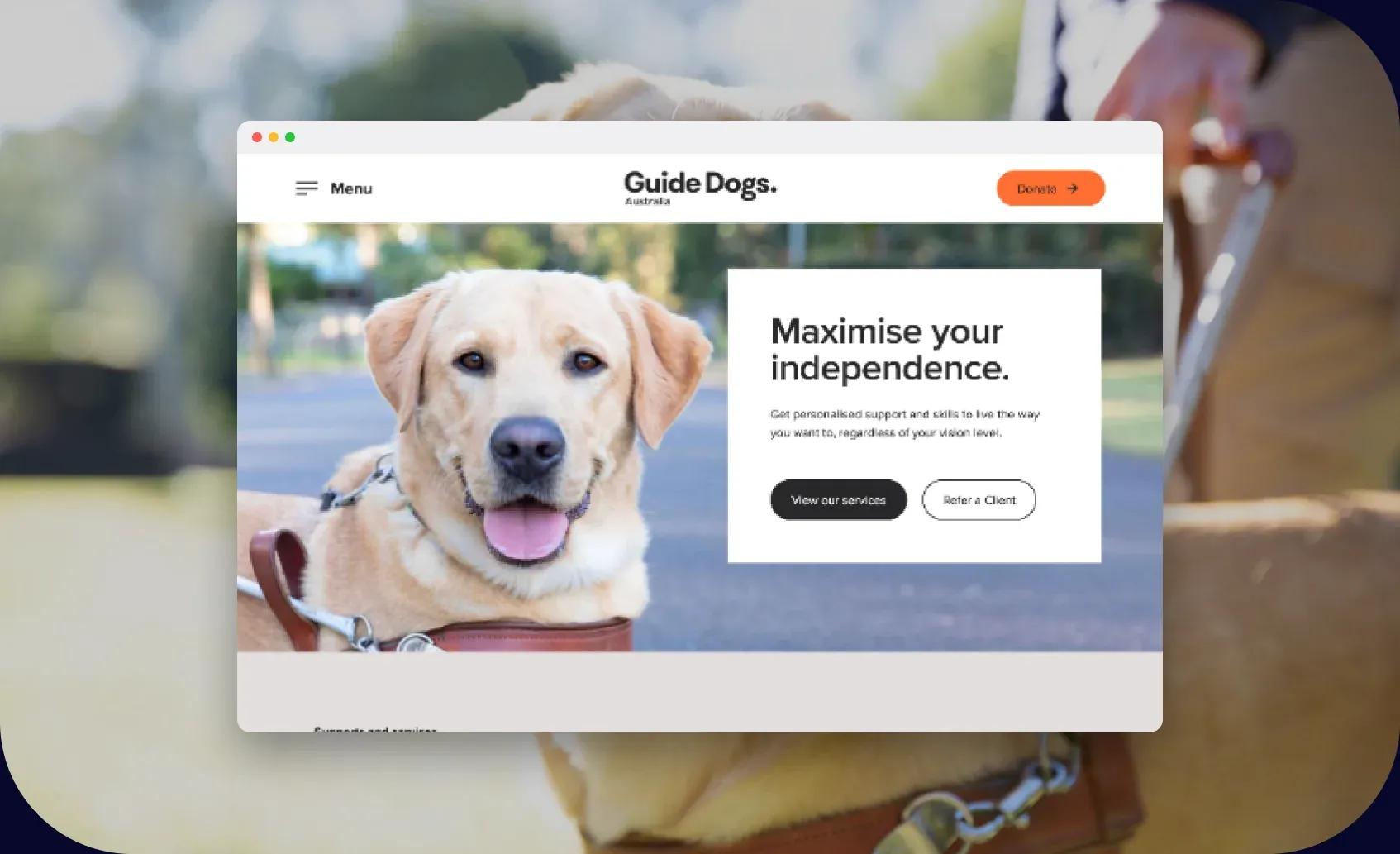 Guide Dogs website shown in a browser window