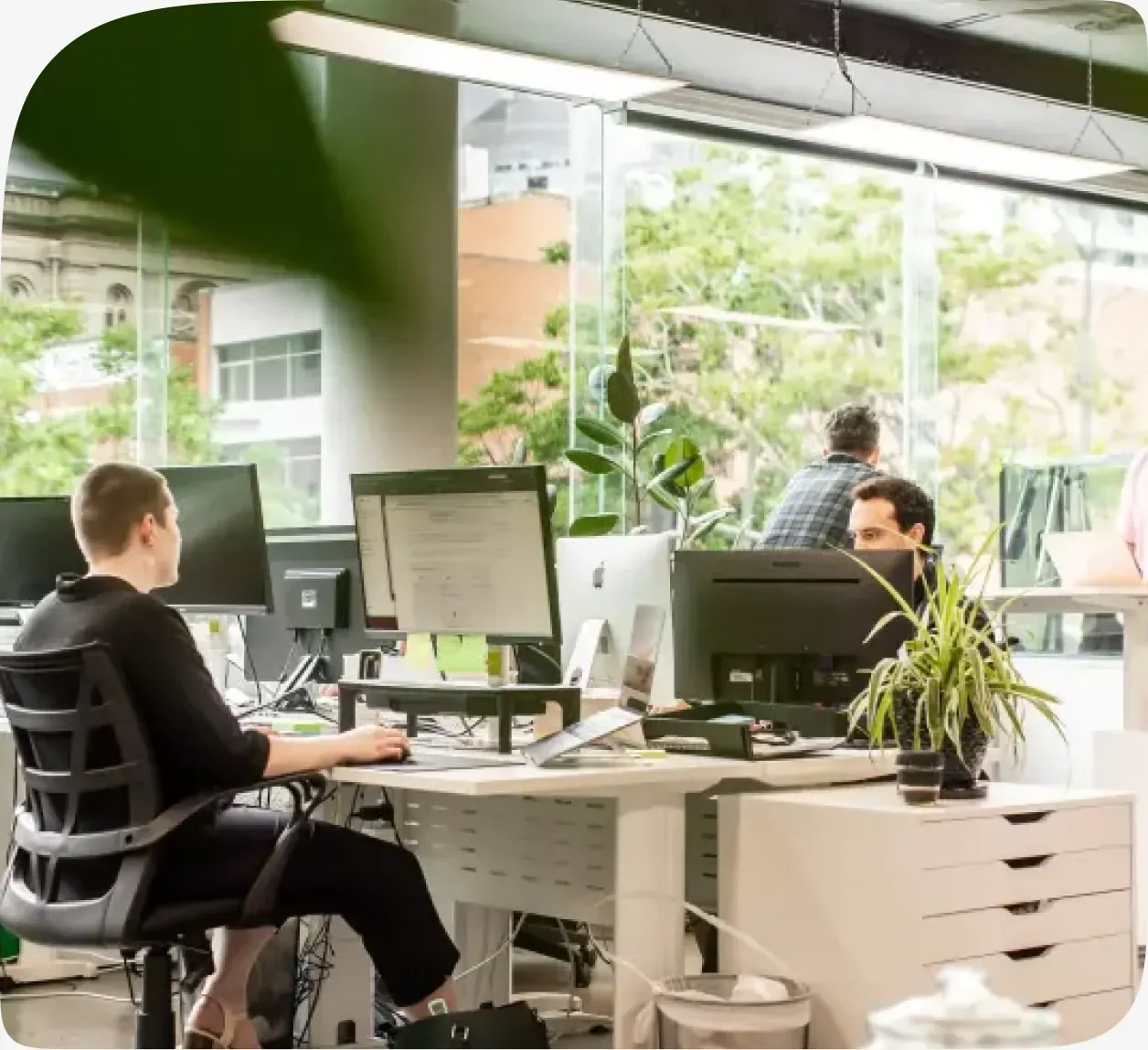 BFJ Digital team members at their desks in the office
