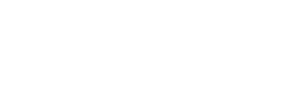 Truis Shopify & Digital Marketing BFJ Client