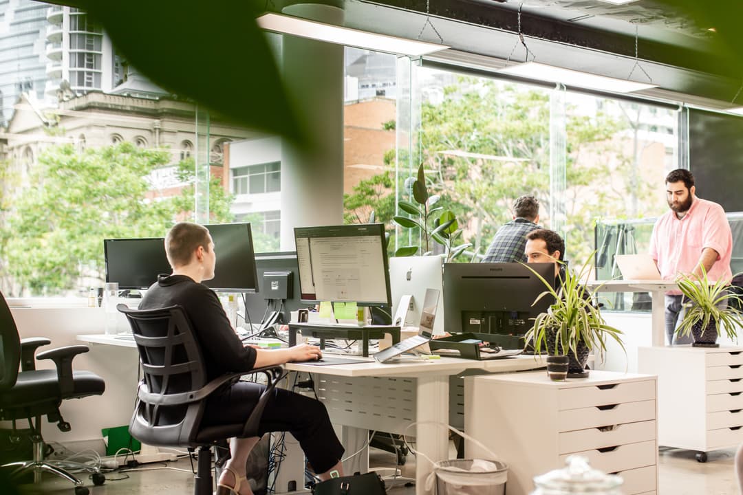 Some of the BFJ team in the office