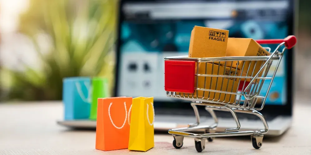 Google Shopping Ads 2.webp