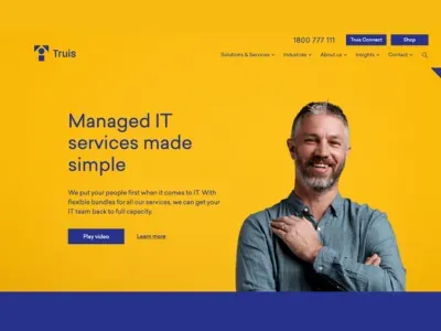 truis-it-industry (3)